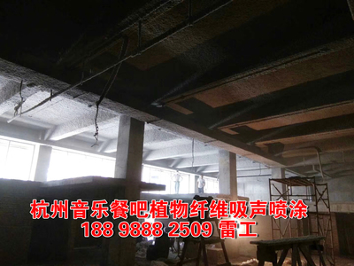 杭州植物纤维吸音喷涂